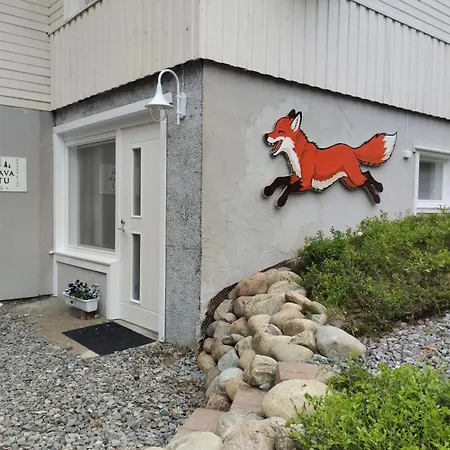 The Laughing Fox Oikarainen